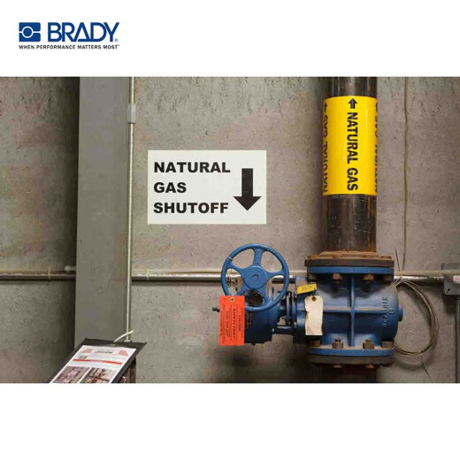 贝迪 BRADY BBP85标签打印机 4英寸 B-595 管道标识 设备标识 户内/户外胶带 13546 灰色
