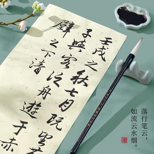 Liupintang primary school students' calligraphy brush set, special for beginners to learn calligraphy, beginner's entry-level brush calligraphy practice, study room four treasures, calligraphy pen, ink, paper and inkstone, full set of 23-piece adult practice tool box