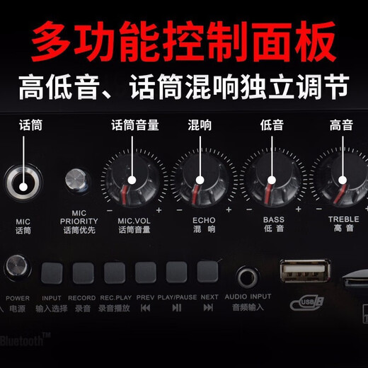 Malata Bluetooth wireless portable electric acoustic guitar bass folk singing instrument speaker outdoor square dance karaoke audio mini subwoofer black