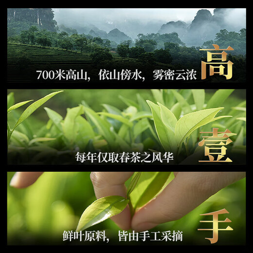 宋凰乌龙茶宋种单丛凤凰单枞黄栀香特级210g中火礼盒装茶叶送礼长辈