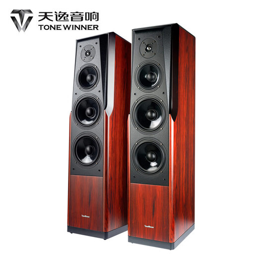 天逸（Winner）TD-8 童笛8号 家庭影院套装5.1音响组合 家用功放k歌音响套装 TD-8 (2.0声道)音箱一对