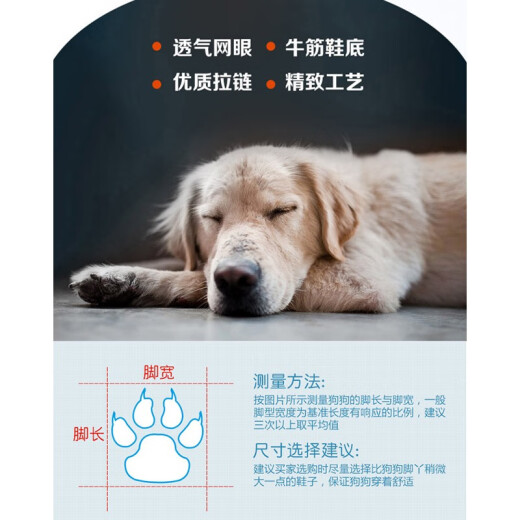 Hanhan Paradise Pets Walking Dog Shoes Non-slip, Wear-Resistant and Waterproof Rain Shoes Teddy Bichon Small Dog Soft-soled Wear-Resistant Boots No. 5 Recommended 10-13 Jin [Jin equals 0.5 kg] for pets within