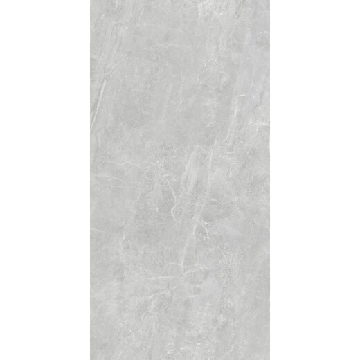 Azulejos de cerámica Marco Polo Micro Cemento Modern 12800 15338 15332 Micro Cemento Jiansudandi Modern Micro Cement CH12806 900*1800