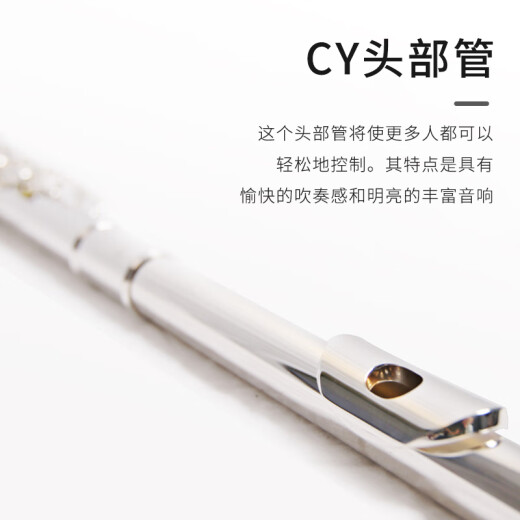 雅马哈（YAMAHA）YFL-222闭孔长笛16键初学者长笛C调长笛 YFL-222 【无E键分割】