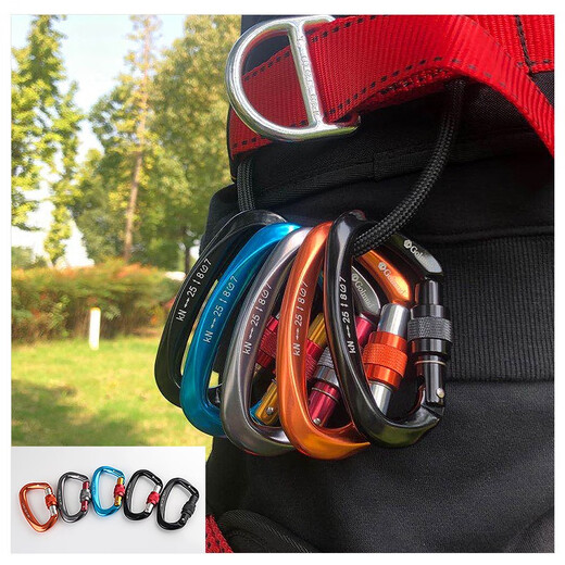 Golmud Mountainering Safety Schnalle D-Typ Schnalle Lock Lock Klettern Hauptschloss Outdoor-Expansionsausrüstung Schnellhanges Klettern Schnalle GM9203 Grau Grau