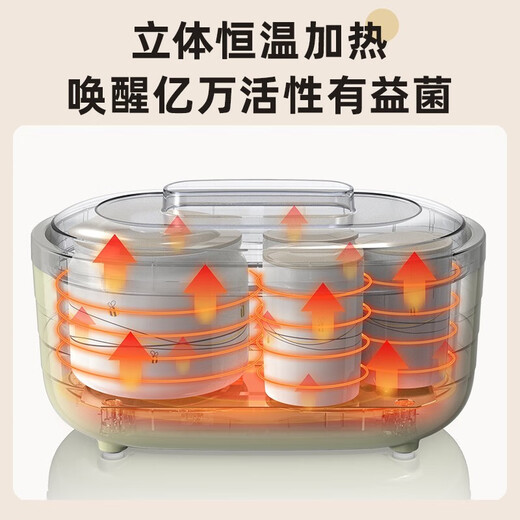 小熊（Bear）酸奶机 家用全自动定时自制米酒机泡菜机 送陶瓷6分杯SNJ-C10P2 SNJ-C10P2