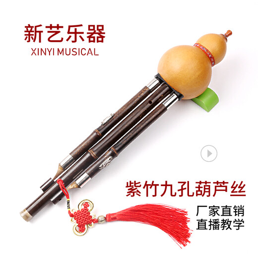 新艺乐器 紫竹九孔9孔葫芦丝乐器 紫竹演奏型降B调C调宽音域 【天然葫芦+紫竹9孔音管】G调