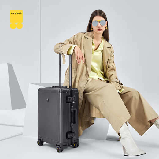 Horizon 8 (LEVEL8) suitcase men's business 20-inch password suitcase aluminum-magnesium alloy boarding pilot's trolley case women's gray