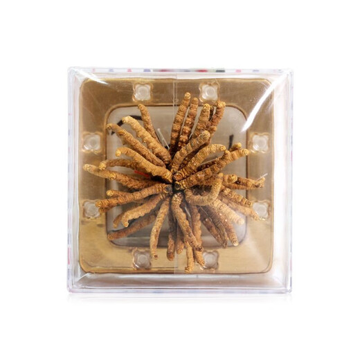 Shenxiang cordycepss Sinensis Высоко высокая подарочная коробка, пропитанная в подарочной коробке с водой и супом Cordyceps Подарочную коробку Подарочную коробку Подарочную коробку 6 грамм цветов* 1 коробка (около 36 штук)
