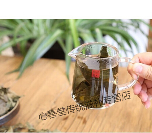 有仁堂青钱柳茶 百年古树青钱柳养生茶成叶茶 金钱柳 成叶青钱柳500克