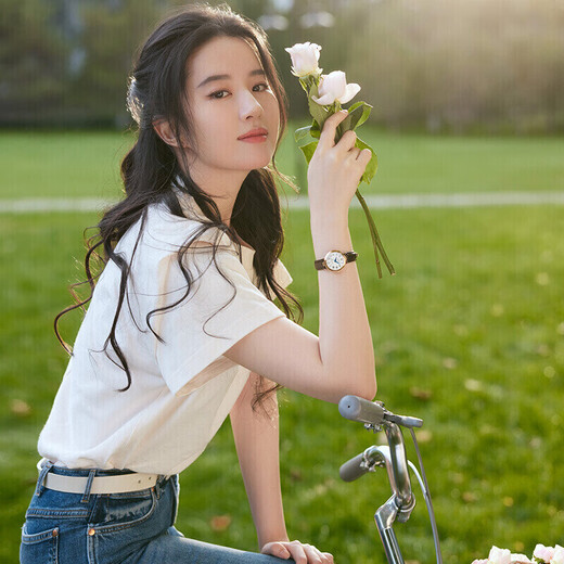 Tissot (TISSOT) Liu Yifei same watch Little Beauty series women's watch mechanical ladies belt watch fashion watch New Year gift