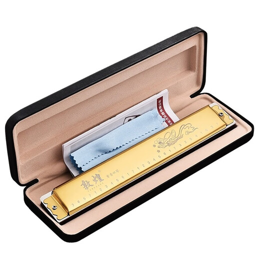 Dunhuang Shanghai old brand Dunhuang 28 hole F-tune G-tune polyphonic D-tune C-tune harmonica beginners play gift-giving instruments 28 holes 12-tune polyphonic gold set