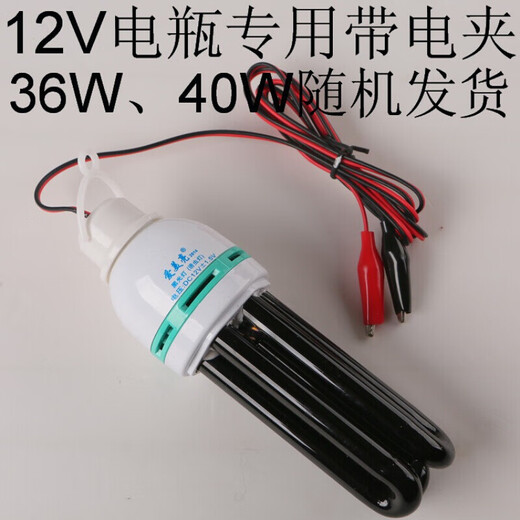 Maixinyi Schwarzlicht-UV-Lampe, violette Lampe, violette Lampe, Züchtungsfalle, Spannungsdruck-Härtungslampe, 40 W (12 V Spannung mit Clip-Leitung), universell