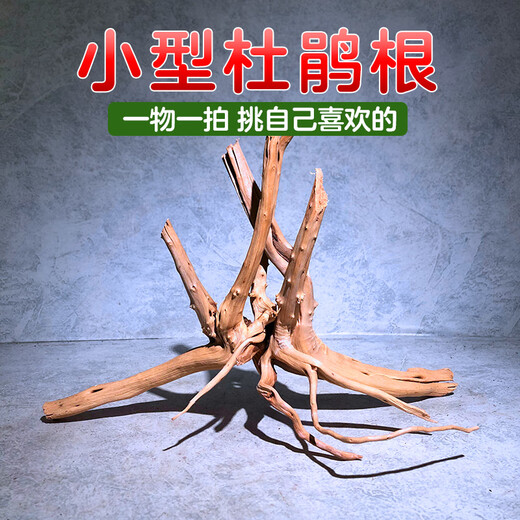 Natural sunken wood azalea root fish tank landscaping material habitat for fish and shrimp to avoid lizards climbing and pet arch bridge ornaments Selected medium-sized azalea roots 18-25 cm 2 pieces Selected azalea root sunken wood