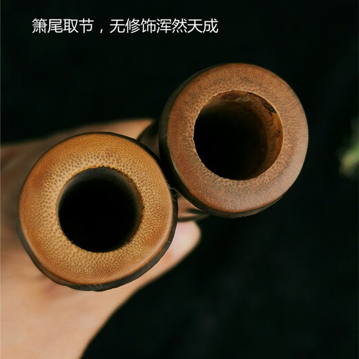 管子先生管子先生手作老紫竹演奏级短箫洞箫萧迷你箫便携式箫精品短萧乐器 一节六孔G调