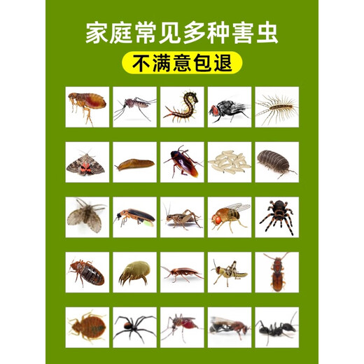 Limpieza del hogar chinches, pulgas, piojos de los libros, medicina para chinches, spray para insectos chupadores de sangre, insecticida especial para el hogar sin lavado