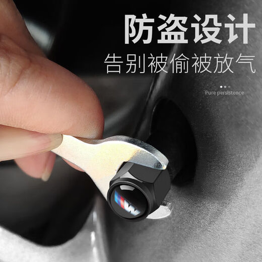 桐汝壁适用于宝马轮胎气门嘴帽M标新3系5系7系1系 刀锋13546汽车气门芯 银色5个装 宝马M标全系