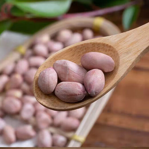Guanyu Obst Fünf-Gewürz-Erdnüsse Anhui Wuwei Spezialität Yanqiao Nüsse und Snacks in Taschen Wein und Gemüse 105 g*10 Gesamt 1050g