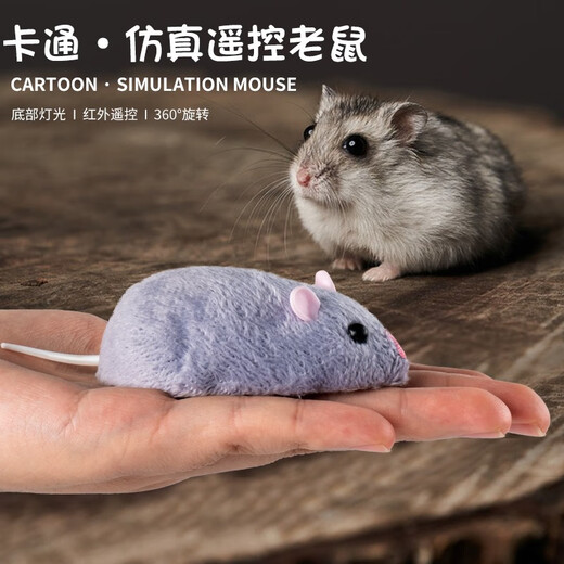 Songxing Mouse Toy Remote Control Electric Simulation Animal Boy Girl Fake Cockroach Scary Internet Celebrity Prank's Toy's Toy Model Yellow and Black Model Remote Control Centipède 9901+ Tournevis de luxe Version avec 36 électroniques 36 autres