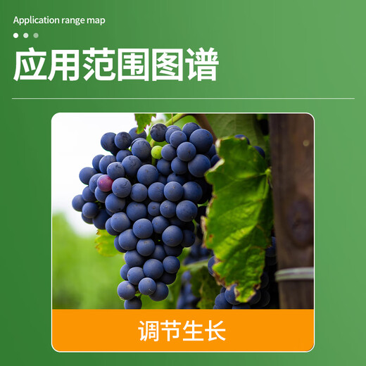 Lanyue Dagebao 3% gibberellic acid thiadiazole grape anti-fruit drop, fruit setting, fruit development and growth regulator 5.5g*50 bags