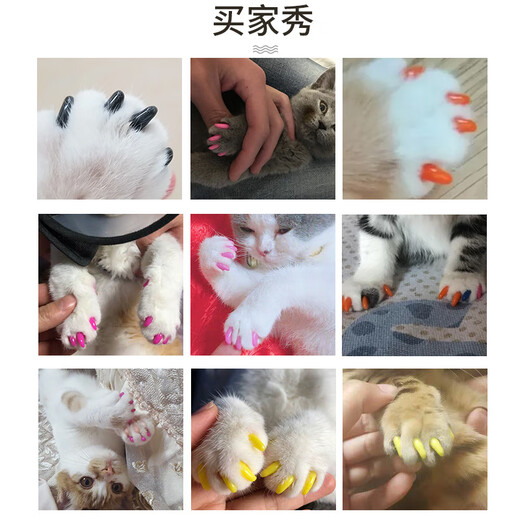 Keep a Pet (YOUNGER PET) Pet Nail Cover Dog Nail Cover Cat Nail Cover Cat and Dog Claw Cover Anti-Scratch Cover Anti-Cat Scratch Teddy Nail Cover Corn Yellow for Cats (20 pieces) S Suitable (2.5-5kg)