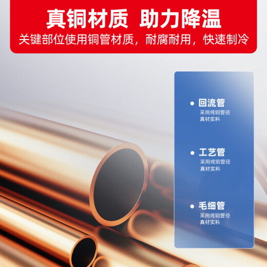 星星（XINGX）展示柜冷藏保鲜柜蔬菜水果双开门立式冰柜 冰箱商用大容量麻辣烫饭店食堂厨房点菜饮料串串啤酒 双门铜管880升BC-980Y
