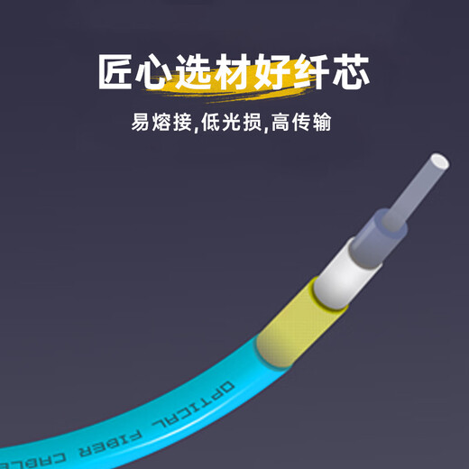 Panduit Panda Multimode Faser Jump LC-LC Multimode Dual Core Faser Jump Cable 10 Gigabit-Netzwerkkabel OM3 Multimode LC Faser Pigtail 30 Meter