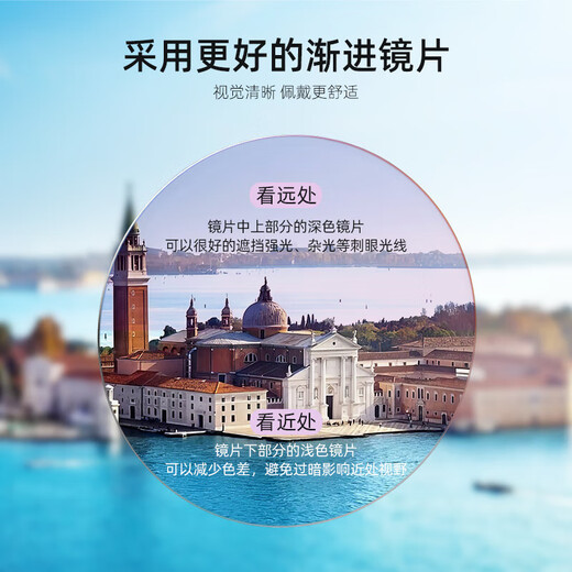派丽蒙太阳镜大框时尚优雅大框墨镜女圆脸遮阳防紫外线偏光眼镜 71423