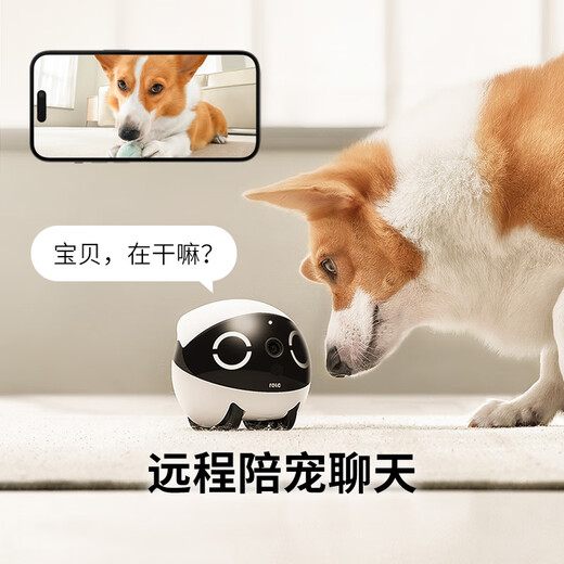 Enabot Rola Mini Begleiter Roboter Roboter Mobiler Sicherheit Überwachung Kamera App Fernbedienung Ganzes Haus Walking Smart älter