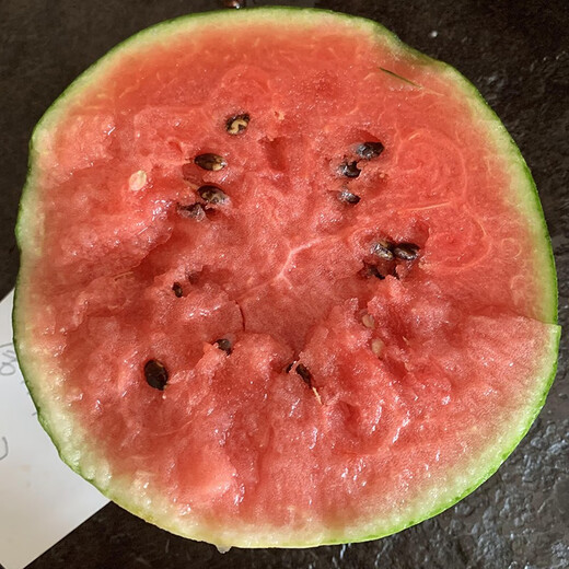 Zhongke Maohua melon and fruit seeds Jinmei 4K watermelon seeds with flower skin, red flesh, oval skin, thin toughness, resistant to storage and transportation, easy to make fruit Jinmei 4K-100 capsules
