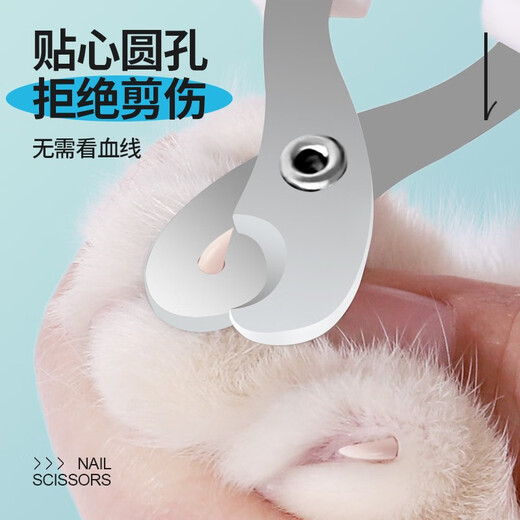 Qi Oh Pet Nail Clippers Cat Nail Clippers Special Cat Nail Clippers for Cutting Nails Round Hole Nail Clippers Novice Small Blind Scissors Blue and White Round Hole Nail Clipper + File
