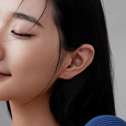 Liuguifu Jewelry PT950 platinum earrings elegant platinum halo earrings for women EE0069 0.95g