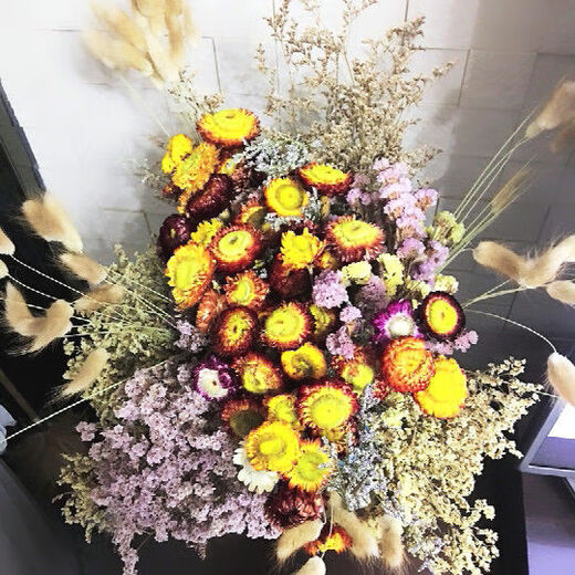 AIMAN natural wheat ears dried flower bouquet for new store opening barley gift living room pastoral decoration photography props 50 golden wheat ears