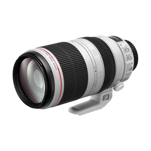 Canon EF 100-400mm f/4.5-5.6L IS II USM telephoto zoom lens international version