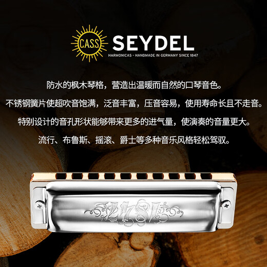 SEYDEL德国进口SEYDEL赛德 十孔10蓝调成人口琴 1847 CLASSIC 10孔G调