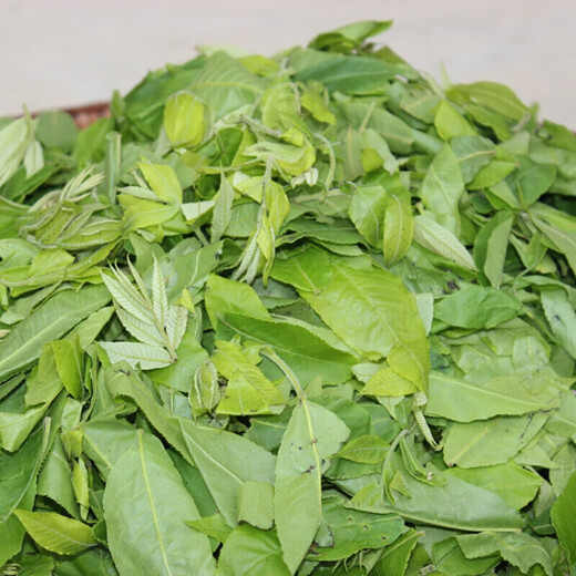 
Green Money Willow Leaf Zhangjiajie Green Money Willow Original Leaf Ancient Tree Golden Money Willow Tea 1500g