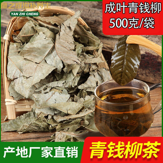 Jiujiuheren Qingqian Liu Tee Originalblatt wilder alter Baum Golden Willow Tender Blattgesundheit Tee Original Deliver