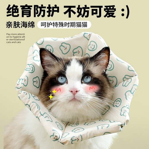 KimPets cat Elizabeth collar anti-licking special sterilization and deworming cat collar anti-licking thickened cat collar headgear for cats green bunny sponge collar three-dimensional anti-licking M-medium size recommended 6-13Jin Jin is equal to 0.5 kg