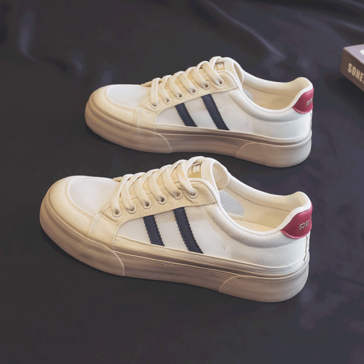 Renben canvas shoes men's breathable summer mesh shoes 2024 breathable thin Korean style ins board shoes lace-up low top Milan 40