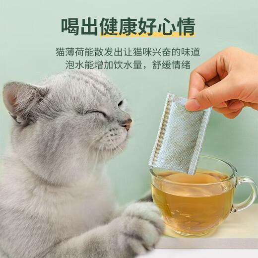 Beili Cat Mint Tea Helps Cats Drink Water and Digest Cats Regulate Emotions Natural Cat Mint Promotes Cats Drinking Water Cat Mint Tea 1 box 10 packs 20g