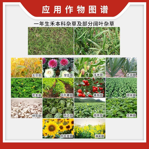 Syngenta Jinduerzhen metolachlor corn cotton peanut watermelon pre-emergent closed land herbicide 100ml