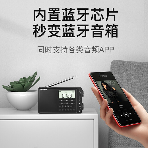 Panda (Panda) 6218 Tragbares Bluetooth -Radio Vollband Stereo Multifunktional Halbleiterfahrzeug -Backup