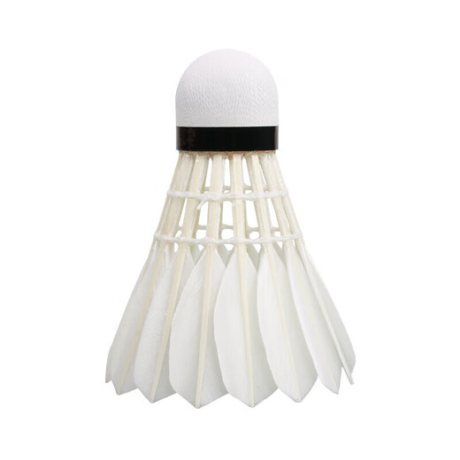 亚狮龙（RSL）羽毛球训练比赛稳定耐打RSL-A6球77速12只/桶