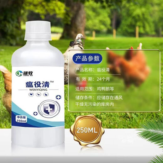 Xiong Mu Wen Ye Qing raises chickens, ducks and geese with malaise and plague, prevents chicken plague, coughs and snores, poultry feed additives 1 bottle of Wen Ye Qing 250ml