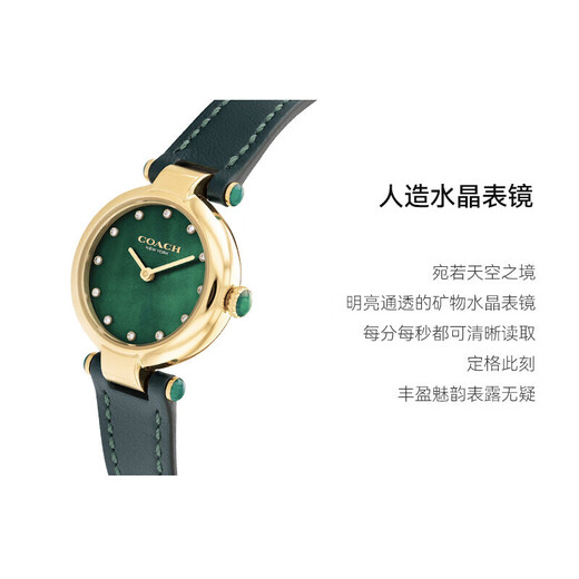 COACH CARY Series Belt Quartz Women's Watch 14503951 Recommended by Luo Yizhou New Year Gift/Gift Giving