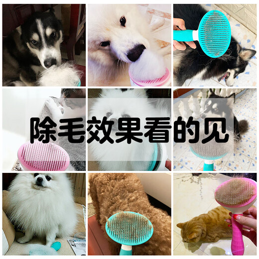 HELLOJOY cat comb, comb brush, cat hair remover, cat hair cleaner, hair remover, needle comb, dog comb, pet supplies