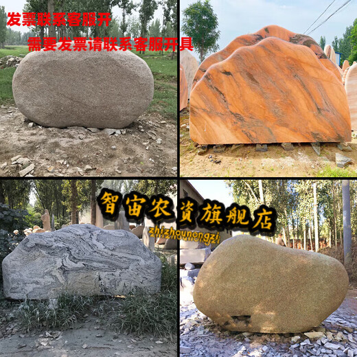 Pebble stone engraving stone micro landscape stone carving campus stone commemorative courtyard stone square large lawn stone natural customized Zhizhou 2 meters