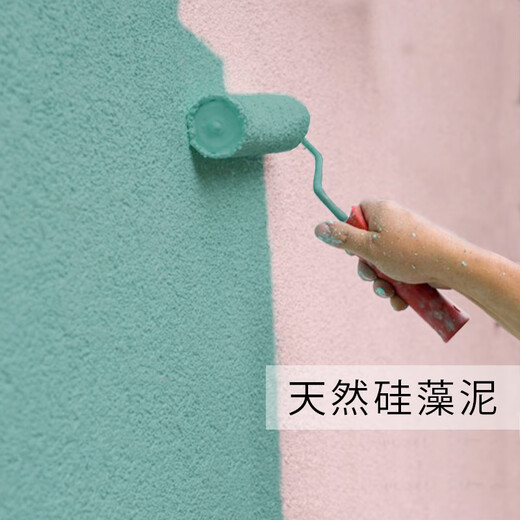 Clcey Wandfarbe Seetang Schlamm Hintergrund Wand Innenraum Reparatur