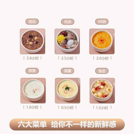 Tianji electric stew pot ceramic mini baby BB soup and porridge pot household water-proof bird's nest electric stew pot for baby porridge pot capacity 1 liter double-layer shell automatic heat preservation 1L scheduled timer glass lid anti-dry cooking