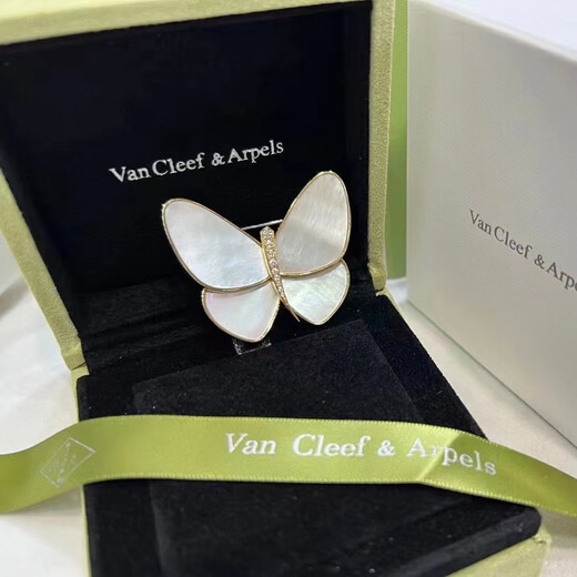 QUAMER zirconium breaks out of the cocoon and becomes a butterfly, natural fritillary butterfly brooch, women's shell temperament, sea water + gift box